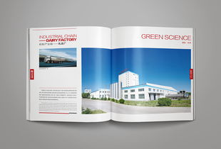 凝練品牌精髓，彰顯卓越風范——洛娃集團畫冊整合設(shè)計與企業(yè)形象策劃